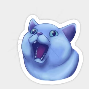 Silly Cat #1 Sticker